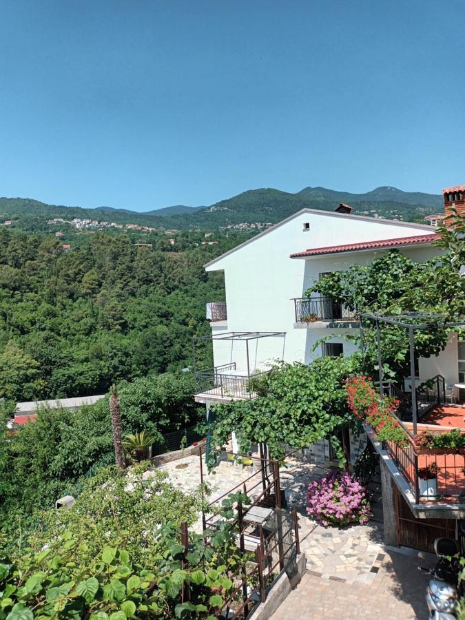 Apartments Branka Ika Exterior photo
